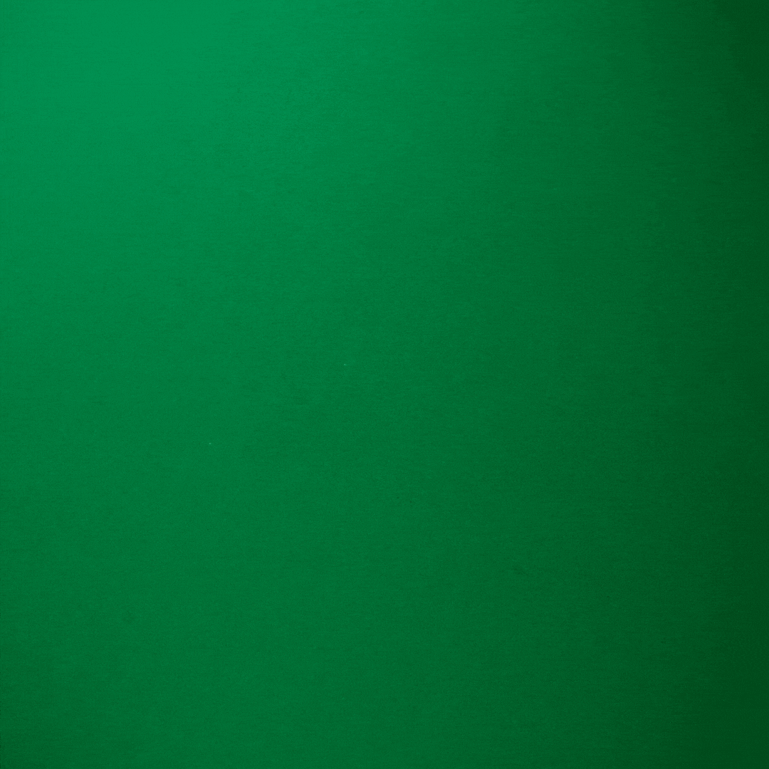 Blossom Burst Multiflora Seeds - (Multiple Flower Seeds)