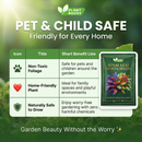 Royal Leaf Hosta Seeds