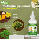 Natural Plant Care Combo -  Plant Boost with Safe Plant Sprays