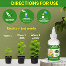Natural Plant Care Combo -  Plant Boost with Safe Plant Sprays