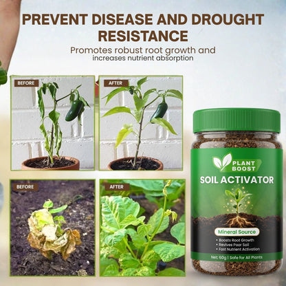 Soil Activator - BUY 1 GET 1 FREE