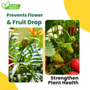 Plant Boost Jeevan Root Enhancer - Perfect for farmers and gardeners