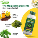 Plant Boost Jeevan Root Enhancer - Perfect for farmers and gardeners