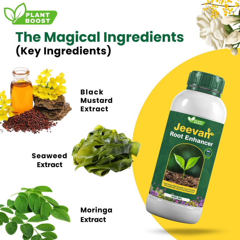 Plant Boost Jeevan Root Enhancer - Perfect for farmers and gardeners
