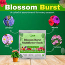 Blossom Burst Multiflora Seeds -  (Multiple Flower Seeds)
