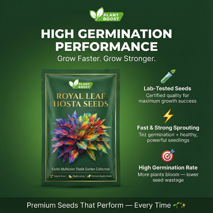 Royal Leaf Hosta Seeds