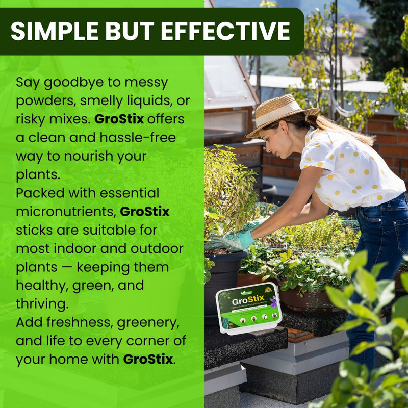 Plant Boost Organic Food Sticks