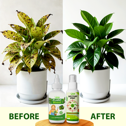 Natural Plant Care Combo -  Plant Boost with Safe Plant Sprays