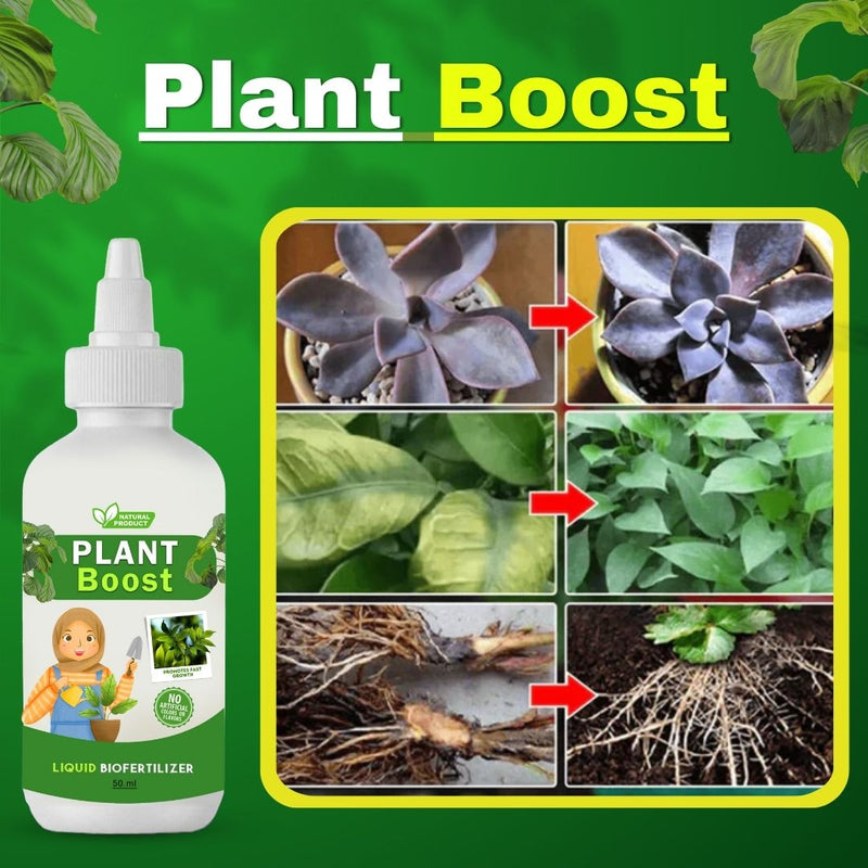 Blossom Burst Multiflora Seeds Free with Plant Boost