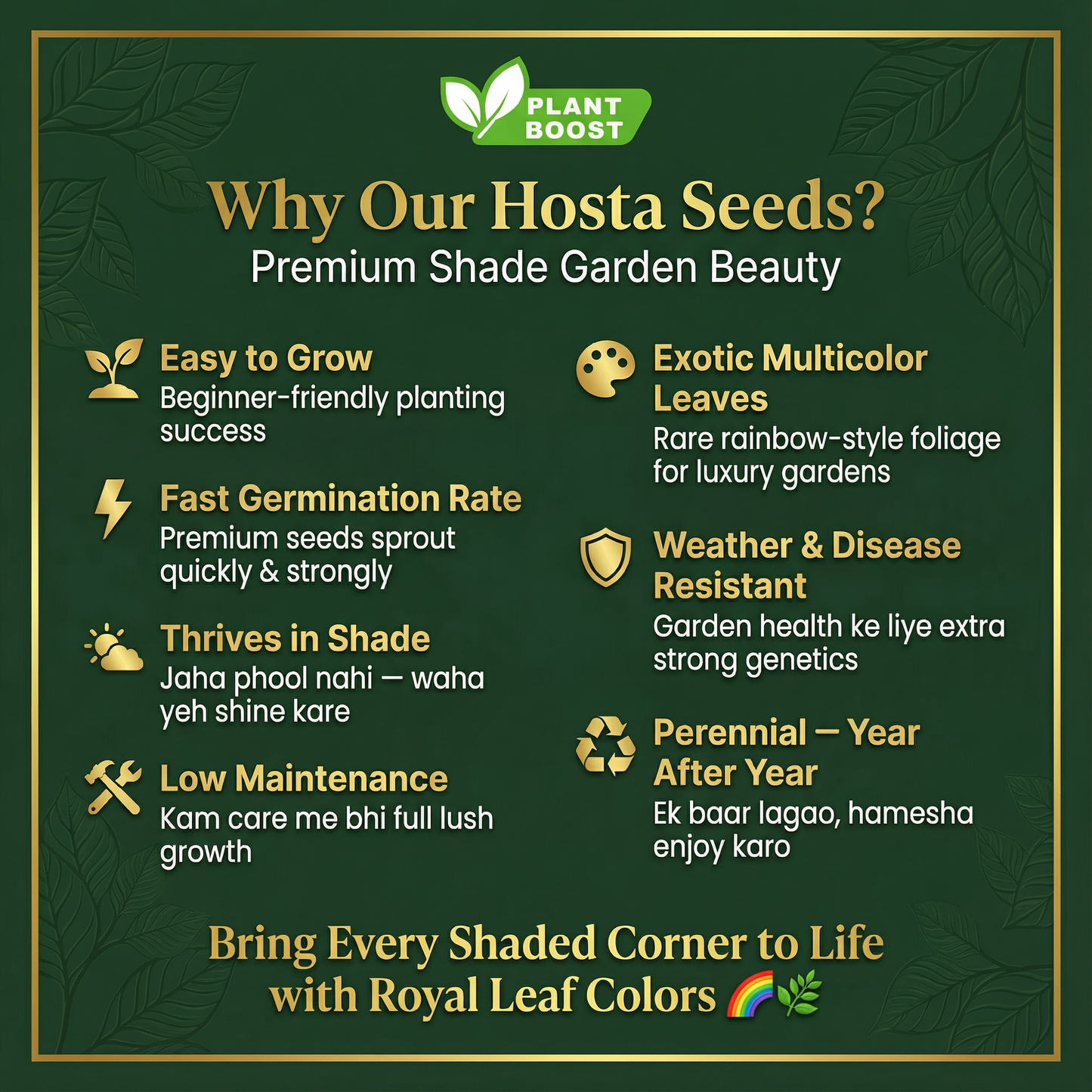 Royal Leaf Hosta Seeds