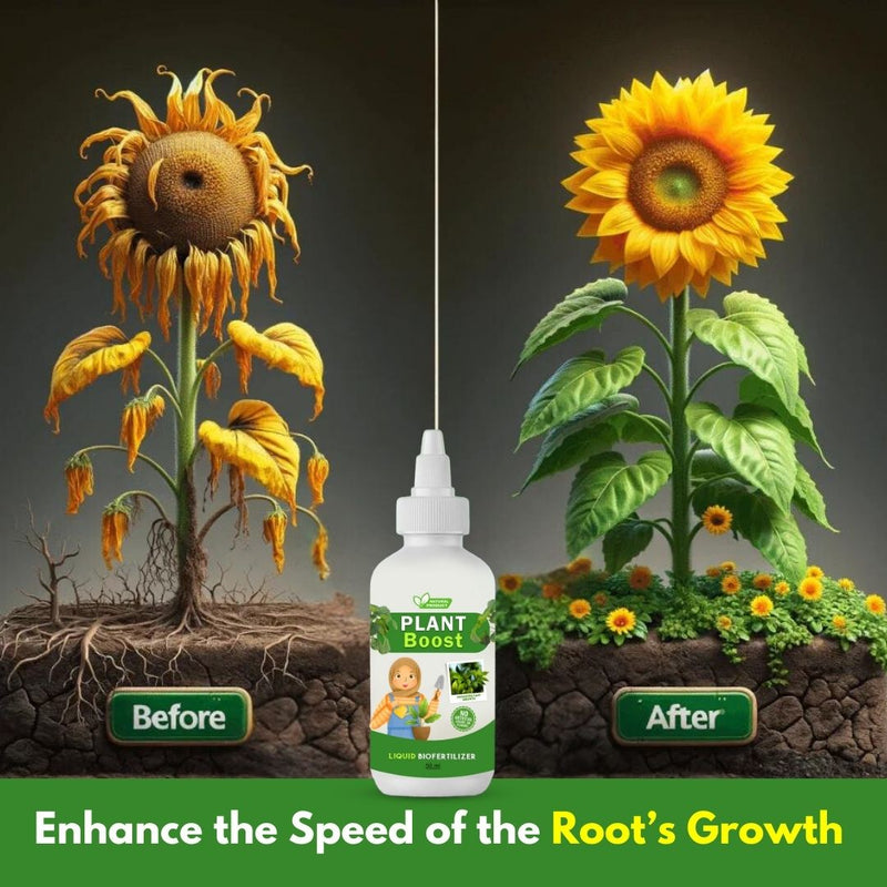 Natural Plant Care Combo -  Plant Boost with Safe Plant Sprays