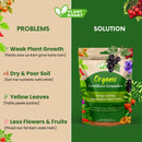 PlantBoost Organic Fertilizer - Long-Lasting Spreadable Plant Food