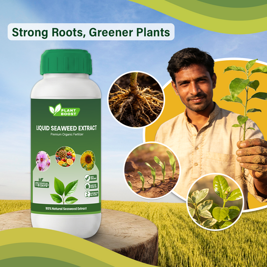 Plant Boost Liquid Seaweed Extract