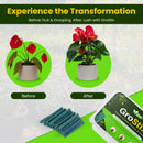 Plant Boost Organic Food Sticks