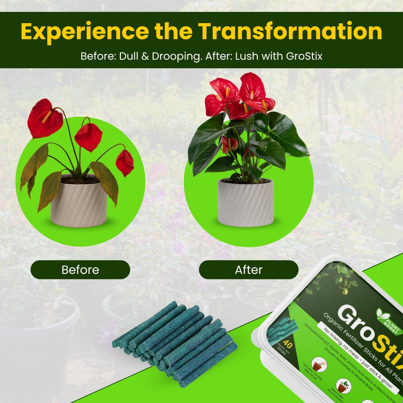 Plant Boost Organic Food Sticks