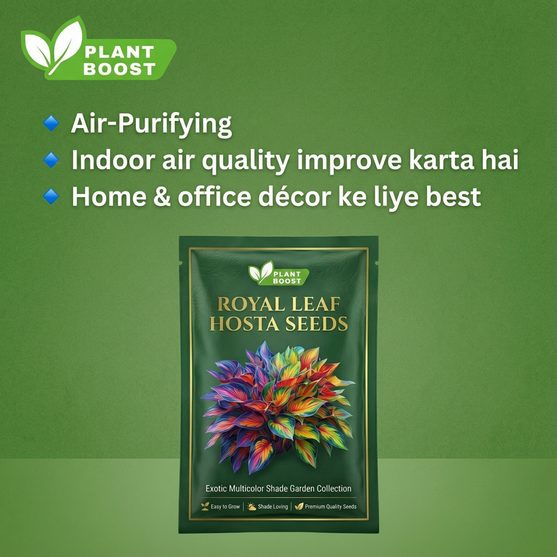 Royal Leaf Hosta Seeds
