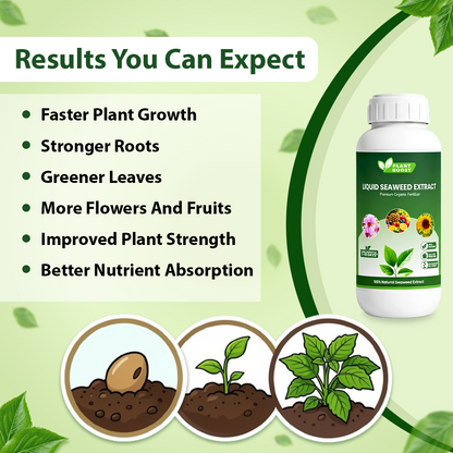 Plant Boost Liquid Seaweed Extract