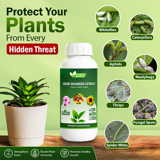 Plant Boost Liquid Seaweed Extract