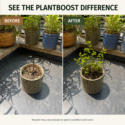 Plant Boost Micronutrients Booster