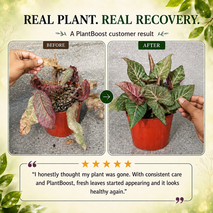 Plant Boost Complete Growth Combo