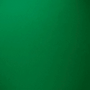 Blossom Burst Multiflora Seeds -  (Multiple Flower Seeds)