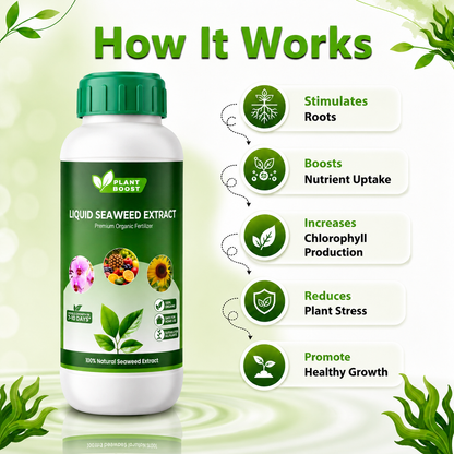 Plant Boost Liquid Seaweed Extract