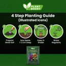 Royal Leaf Hosta Seeds