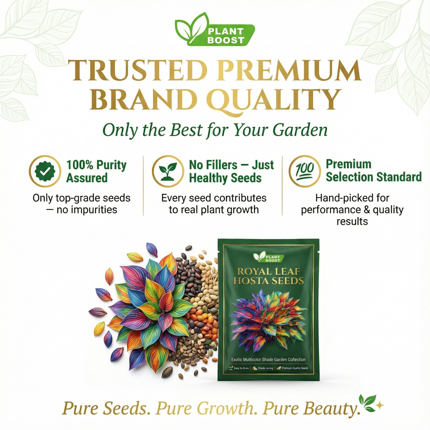 Royal Leaf Hosta Seeds