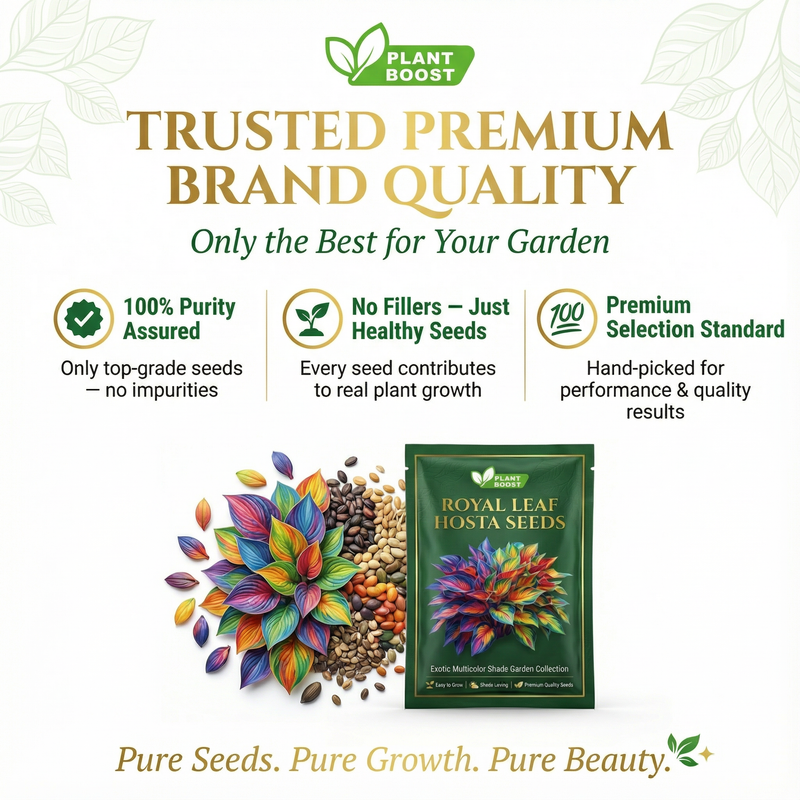 Royal Leaf Hosta Seeds