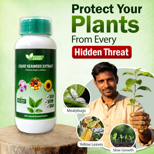 Plant Boost Liquid Seaweed Extract
