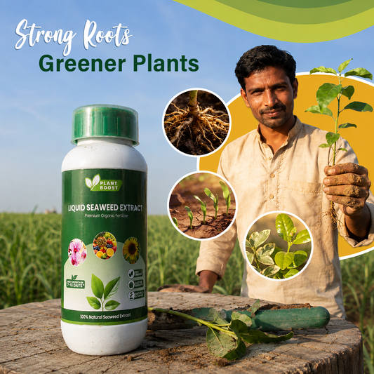 Plant Boost Liquid Seaweed Extract
