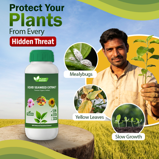 Plant Boost Liquid Seaweed Extract