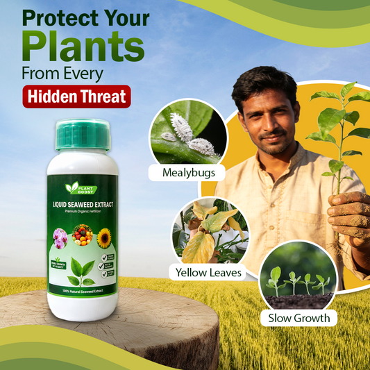 Plant Boost Liquid Seaweed Extract
