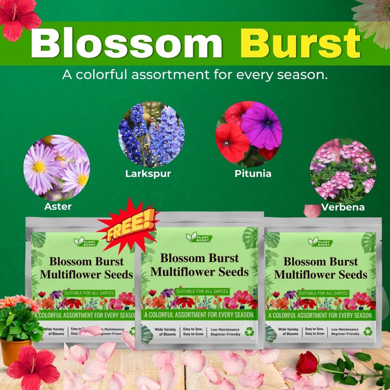 Blossom Burst Multiflora Seeds -  (Multiple Flower Seeds)